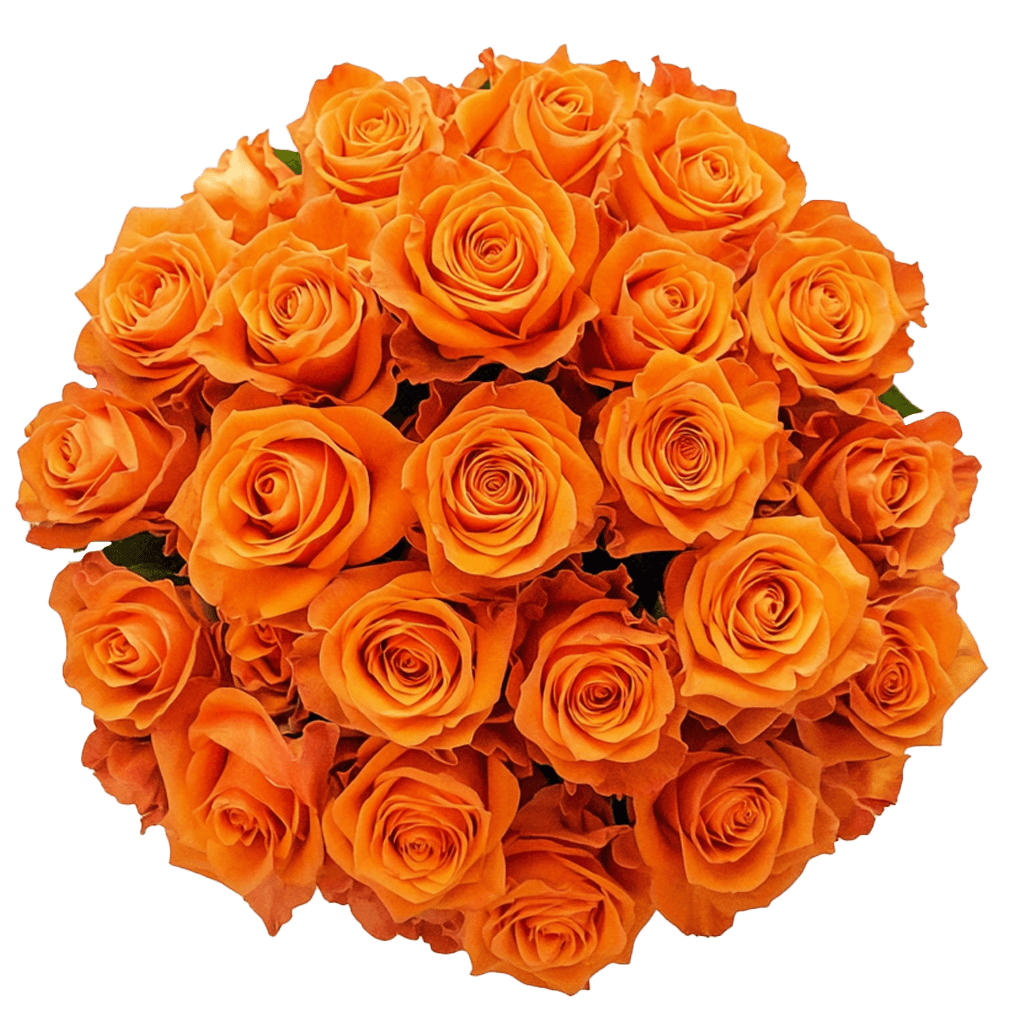 Orange Roses Bouquet