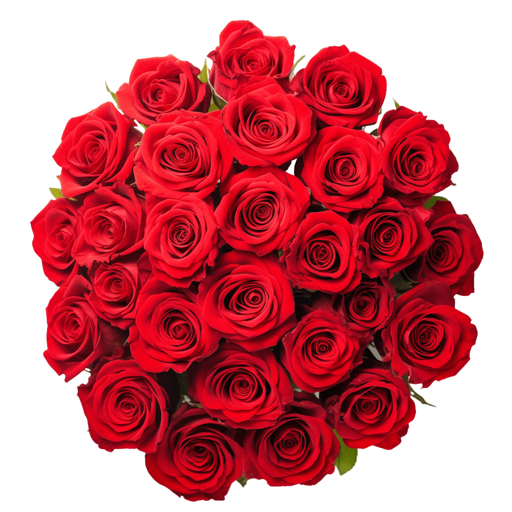 Red Roses Bouquet