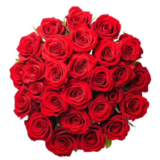 Red Roses Bouquet